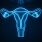 Light with black background, light is light blue, black is dark blue: female reproductive organs x ray